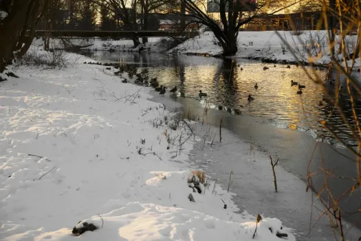 В Сургуте ввели штрафы за выход на тонкий лед: сколько предстоит заплатить