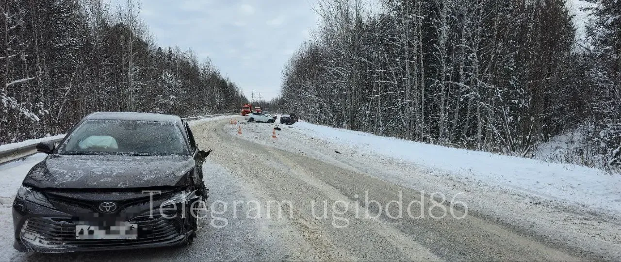 Фото: Госавтоинспекция Югры