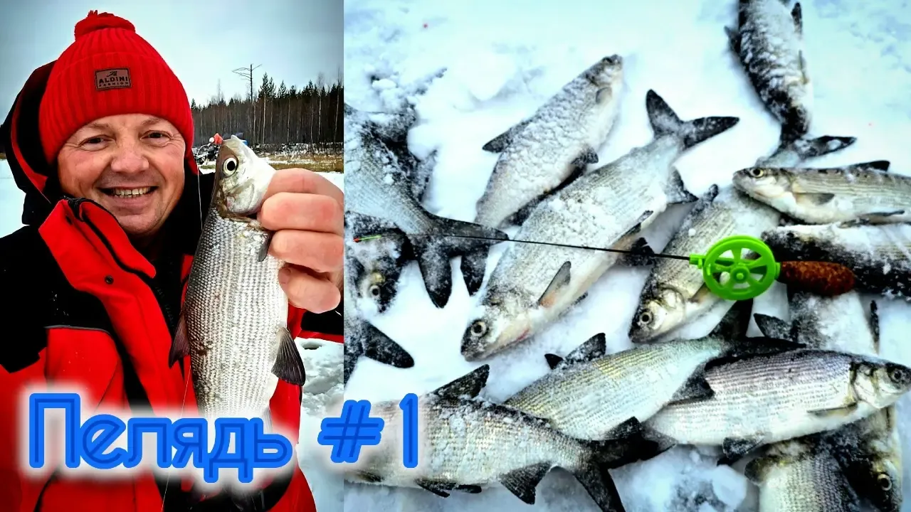 Фото: Виталий Вент / vk