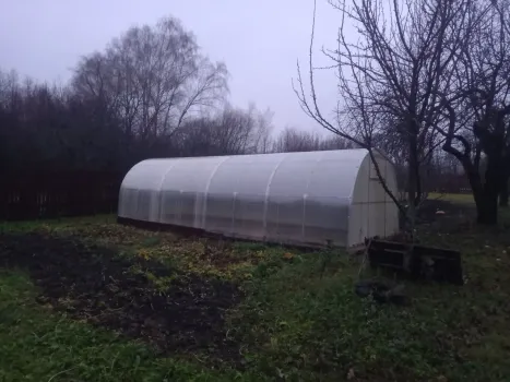 Открывать ли теплицу зимой? Эксперты пришли к соглашению — лучшее решение для урожая: бесплатная дезинфекция и никакой плесени