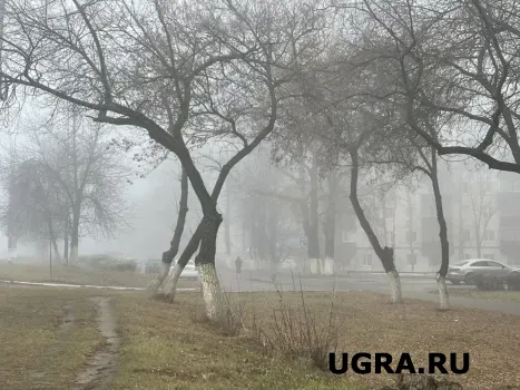 Такого в XXI веке еще не было: в Ханты-Мансийске установлен температурный рекорд для ноября