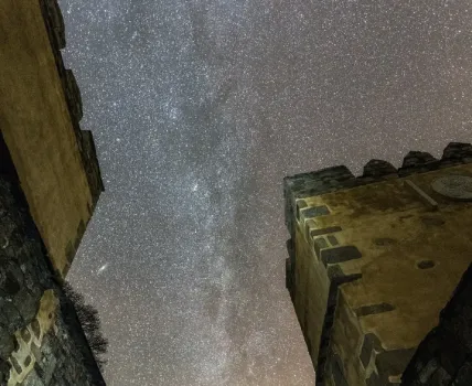 Счастье уже у порога: эти знаки Зодиака выйдут на белоснежную тропу успеха и процветания с 24 ноября — мощная поддержка звезд