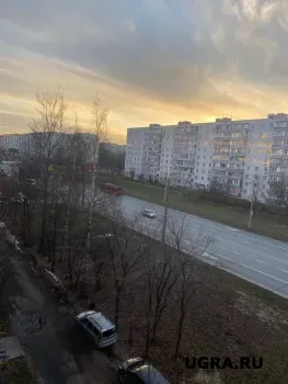 Карта «Zaбота» в Югре будет действовать ещё год