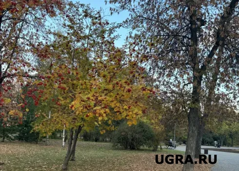 В Сургуте девушка за деньги готова выслушать, обнять и прогуляться