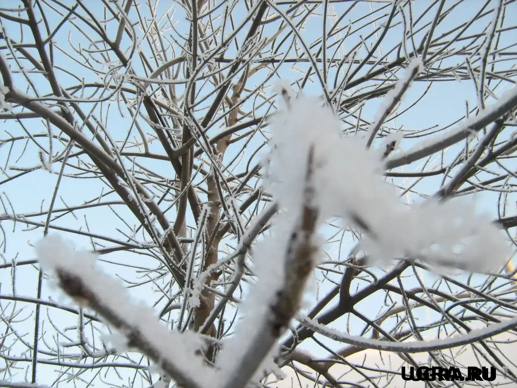 Ждать ли морозы и сильные снегопады в ХМАО: синоптики озвучили прогноз на декабрь