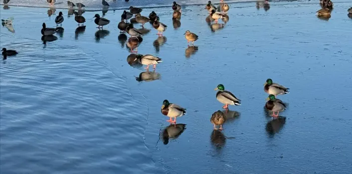 В ХМАО ожидается резкое потепление