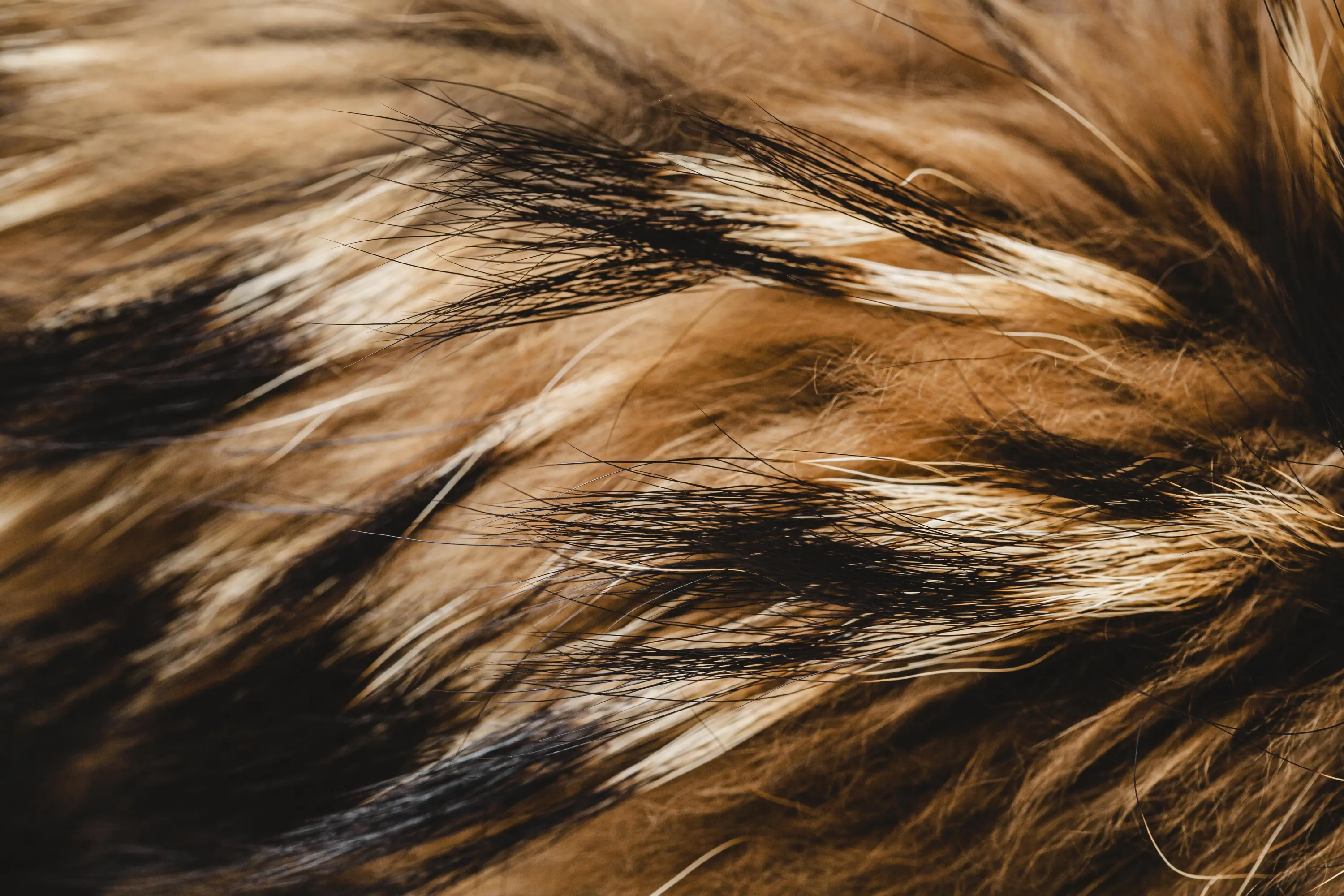 Фото: ru.freepik.com