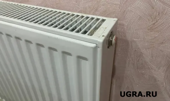 В ХМАО массово скупают обогреватели: спрос вырос в 2,5 раза