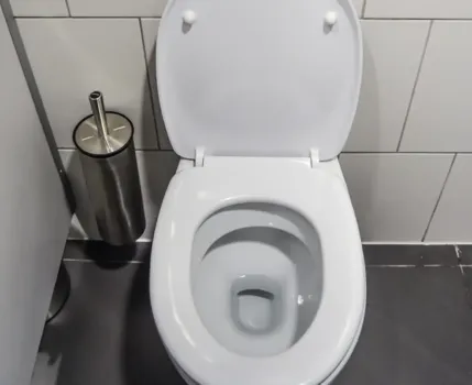 1 шт. в воду — и унитаз станет как новый: ни желтизны, ни налета, ни ржавчины — засияет как на праздник — 3 лайфхака