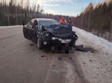 Пять человек пострадали в жуткой аварии на трассе в ХМАО