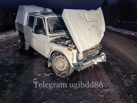 На трассе под Сургутом столкнулись два автомобиля: пострадали трое взрослых и ребенок