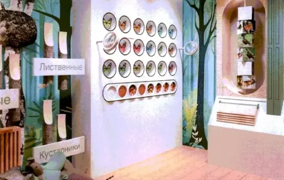 В «Старом Сургуте» открылась новая интерактивная экспозиция «Открывая тайгу»