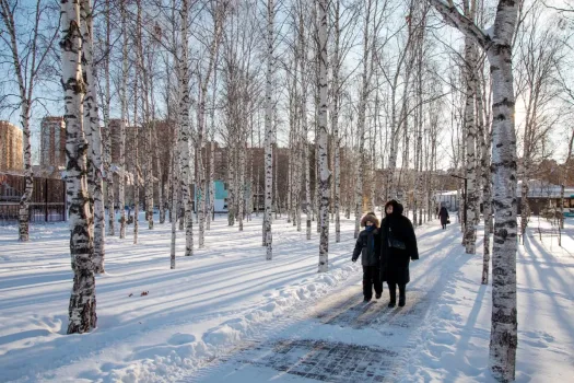 Сургут попал в аутсайдеры в борьбе за звание культурной столицы