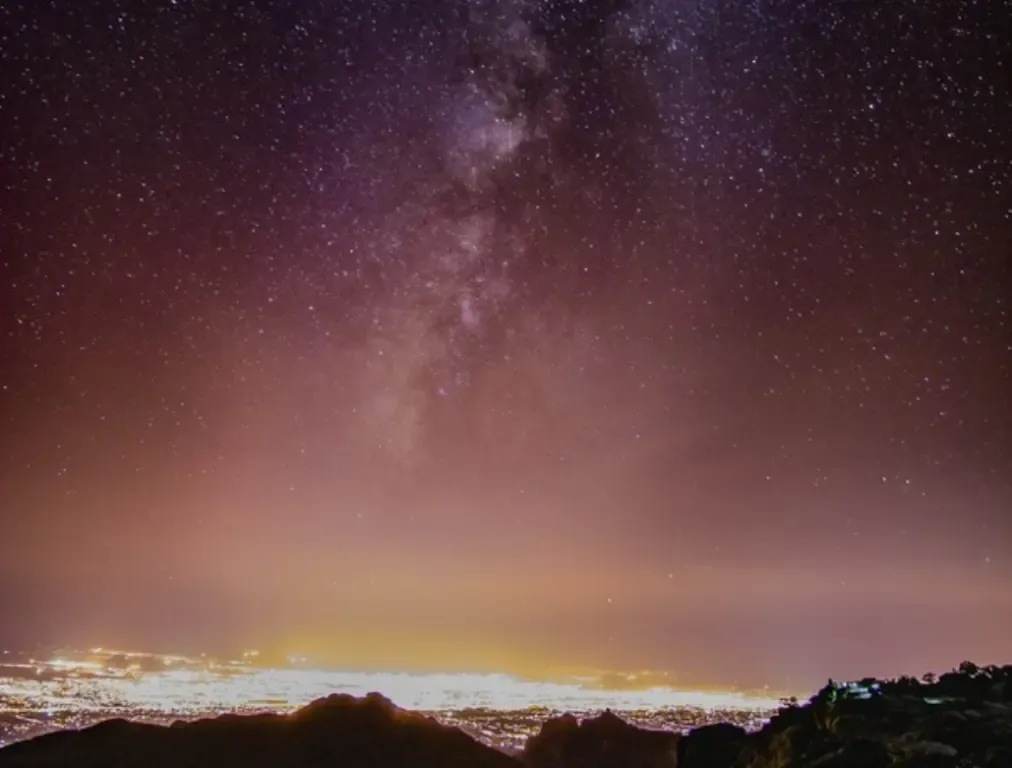 Фото: pxhere.com