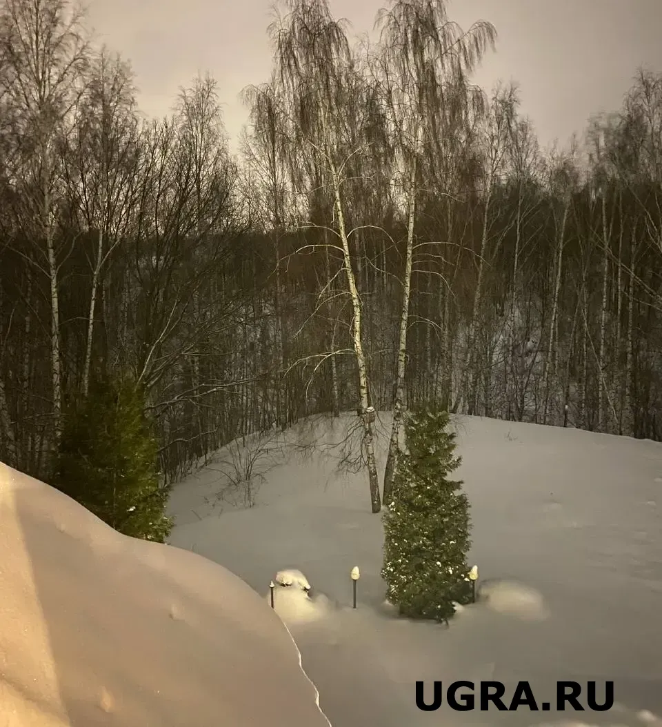 Фото: Артем Акчурин