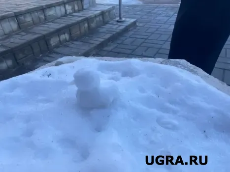 С начала сезона на полигоны в Сургуте вывезли более 230 тысяч кубометров снега