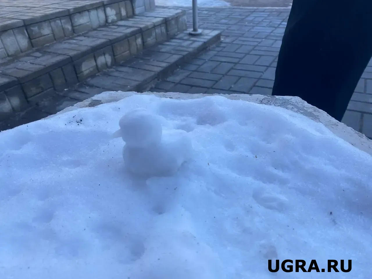 Фото: Артем Акчурин