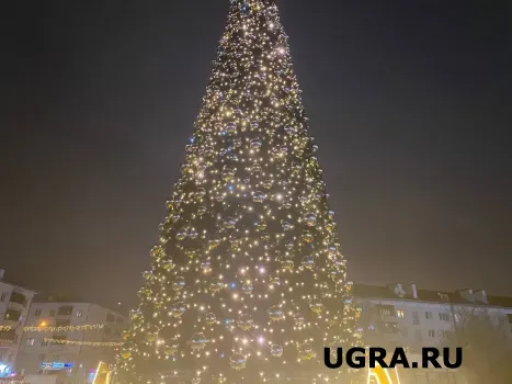 В Югре Росгвардия усиливает безопасность перед новогодними праздниками