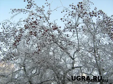 Югре 95 лет: как зарождался ХМАО и что помогло в становлении региона