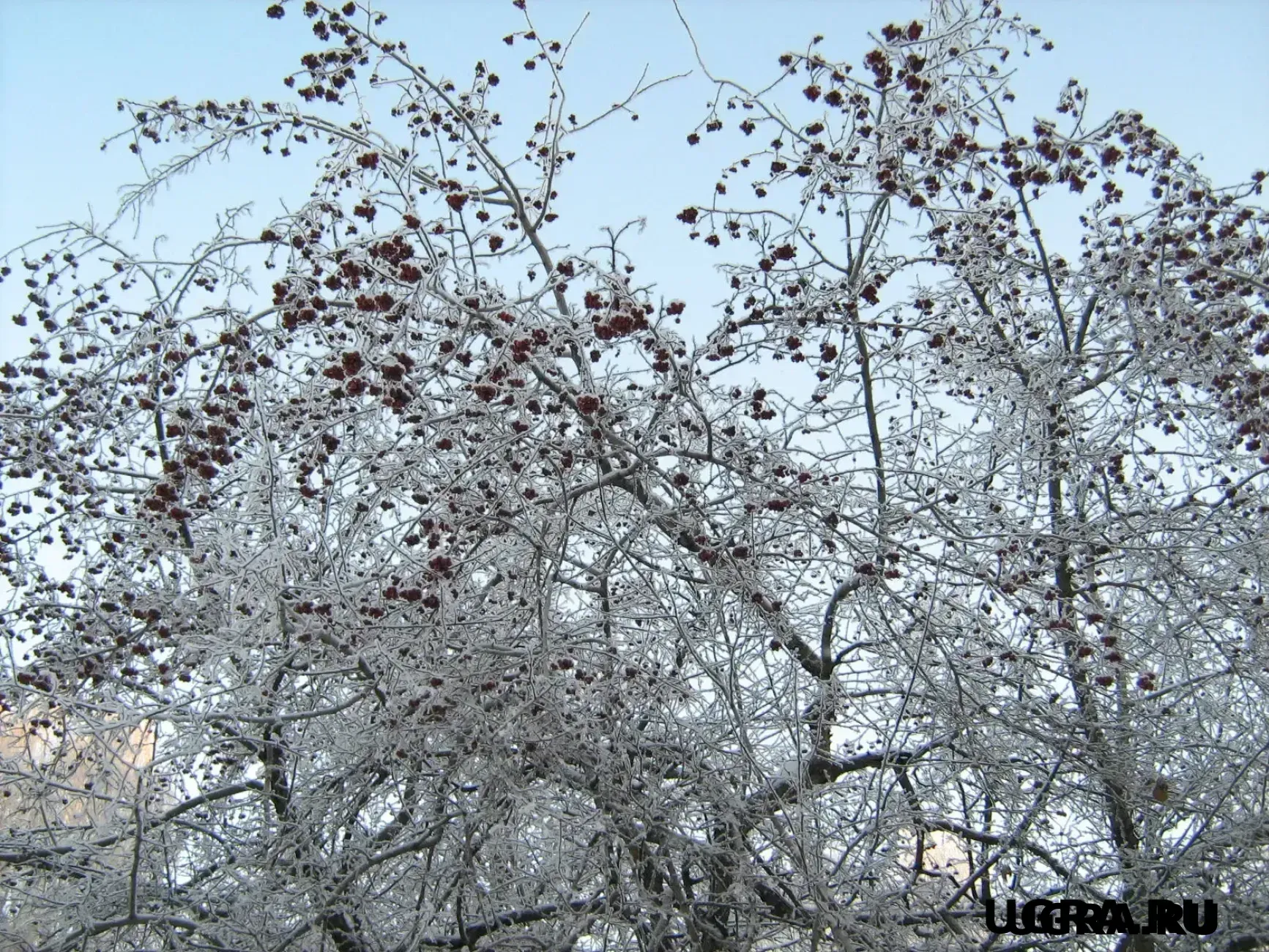 Югре 95 лет: как зарождался ХМАО и что помогло в становлении региона