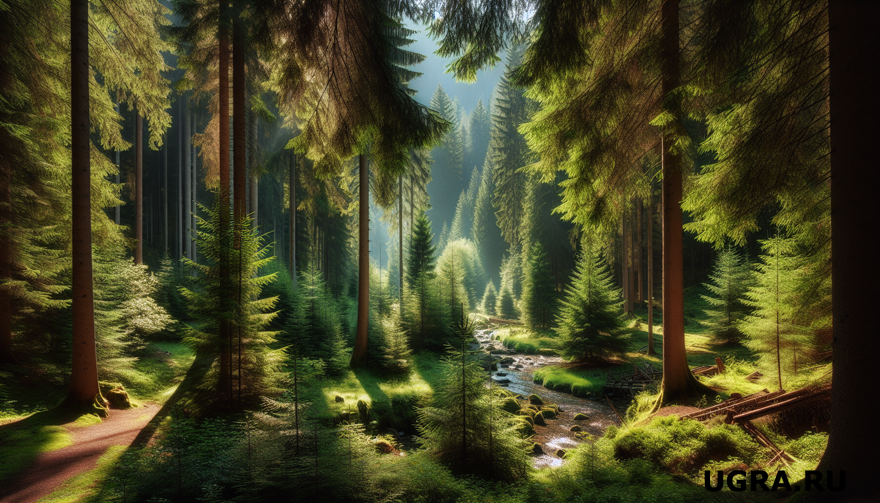 Что грозит жителям Югры за незаконную вырубку елок: в регионе усилили контроль