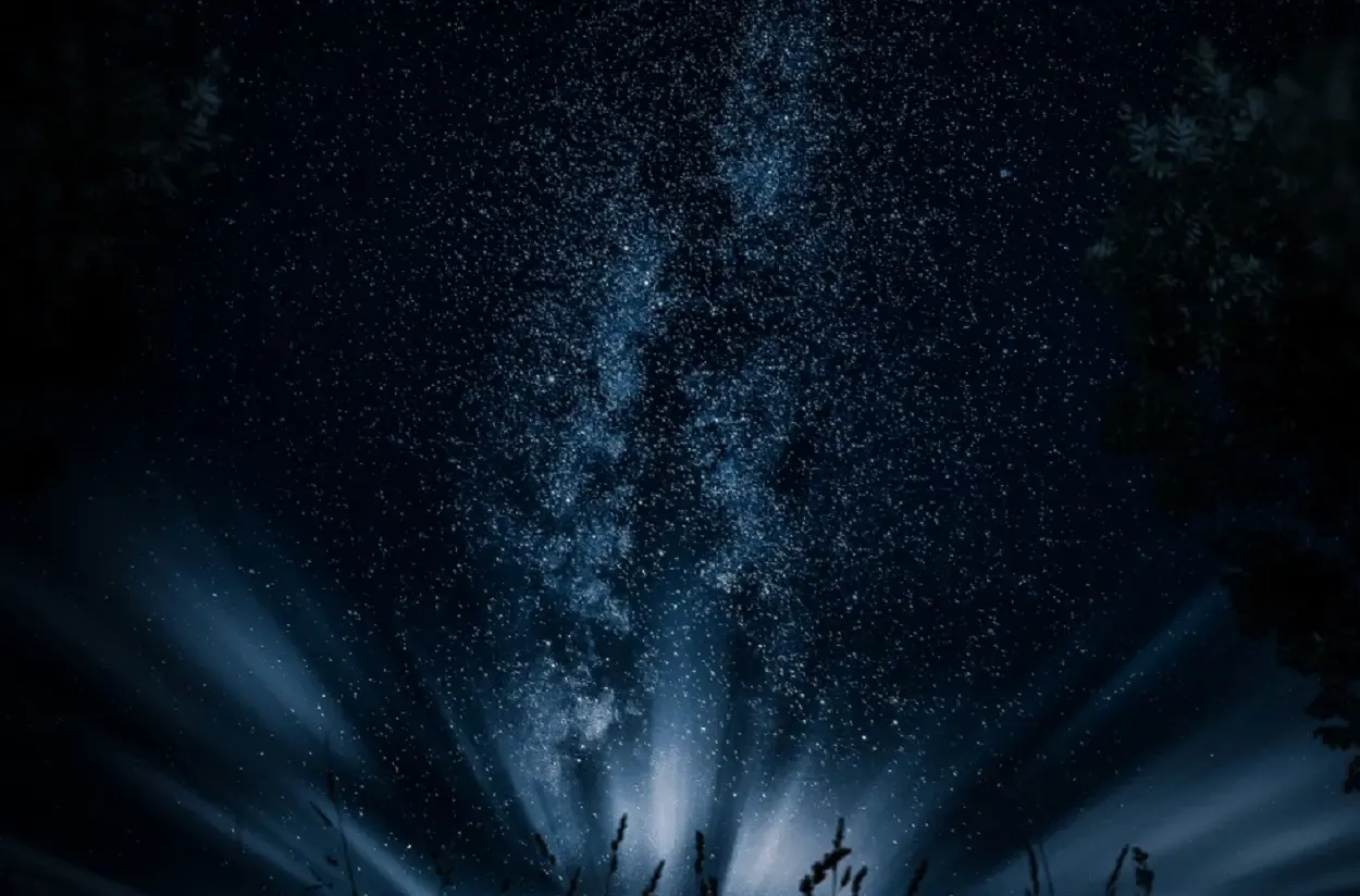 Фото: pxhere.com