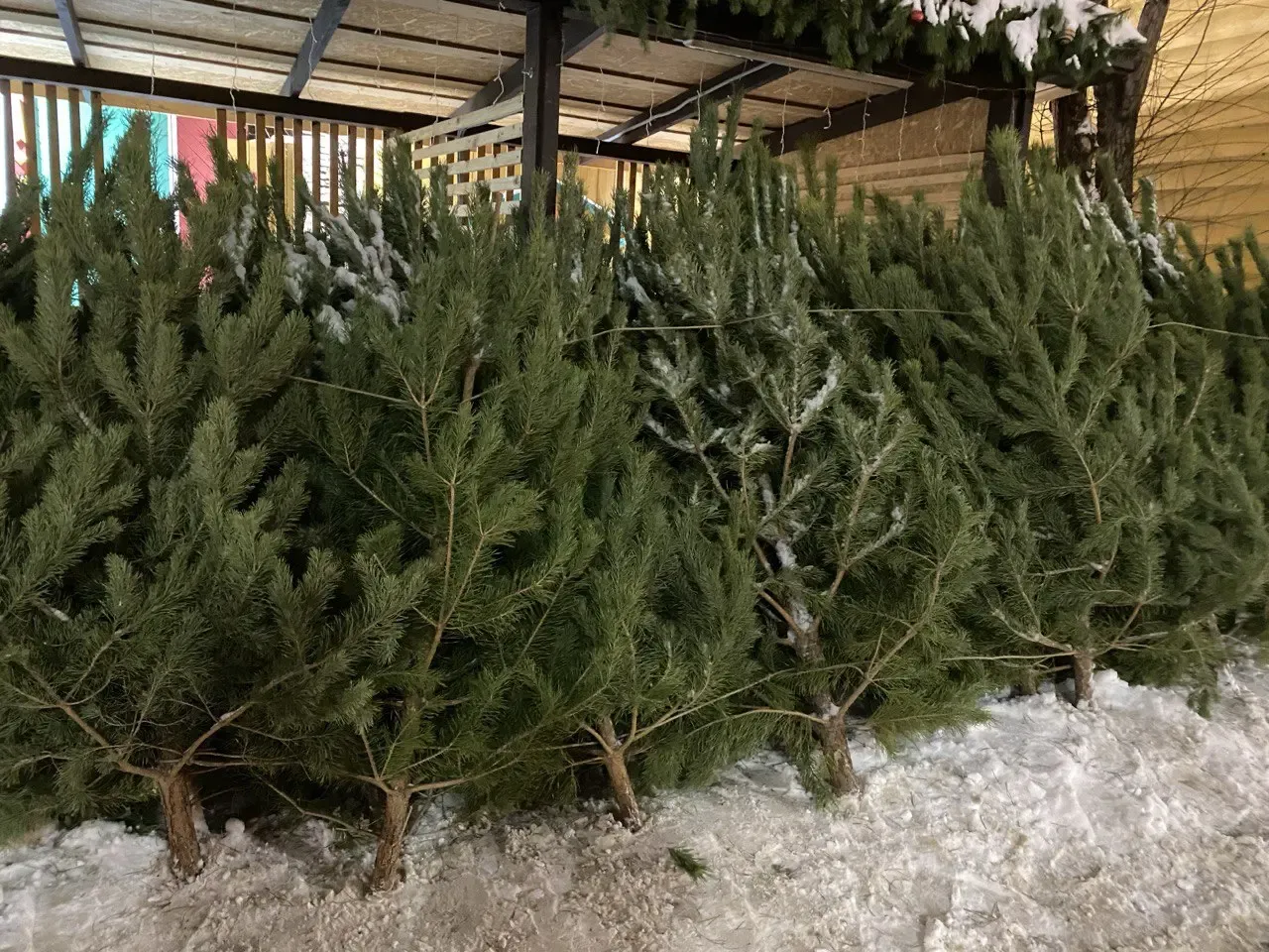 Фото: Артем Акчурин