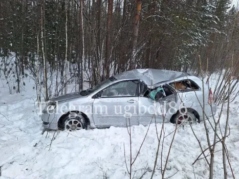 На трассе в Югре опрокинулась иномарка: пострадали два человека