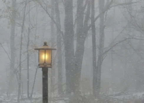 «Январь и февраль будут абсолютно аномальными»: синоптики сказали, к чему готовиться — поступили новые данные