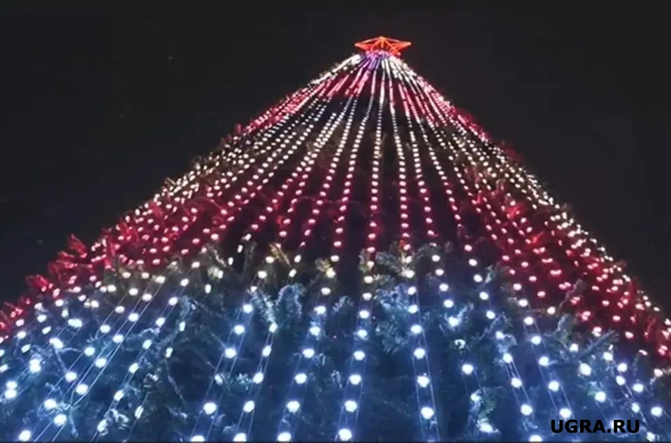 Фото: Скрин с видео Максима Слепова
Читайте на WWW.UGRA.KP.RU: https://www.ugra.kp.ru/online/news/6718532/