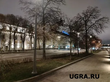 В Югре выросло количество предпринимателей: как это отразится на жизни региона