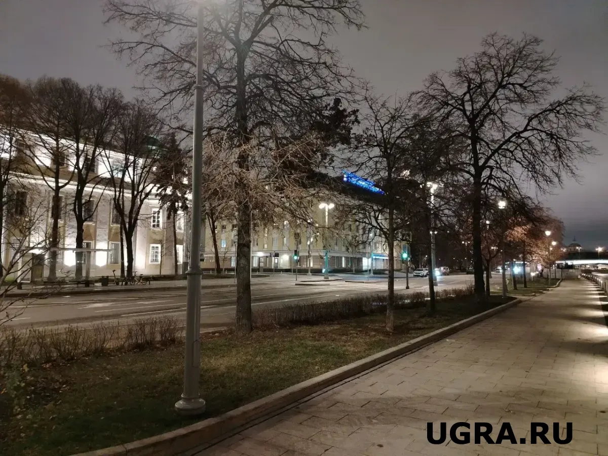 В Югре выросло количество предпринимателей: как это отразится на жизни региона