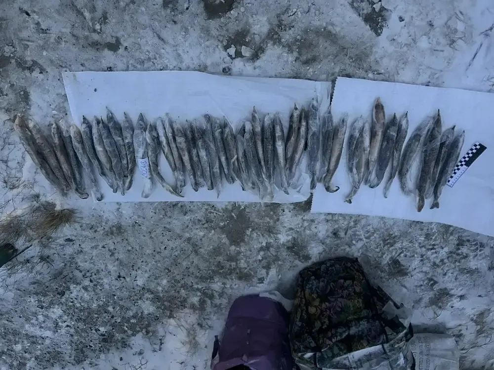 Фото: Транспортная полиция Урала / тг