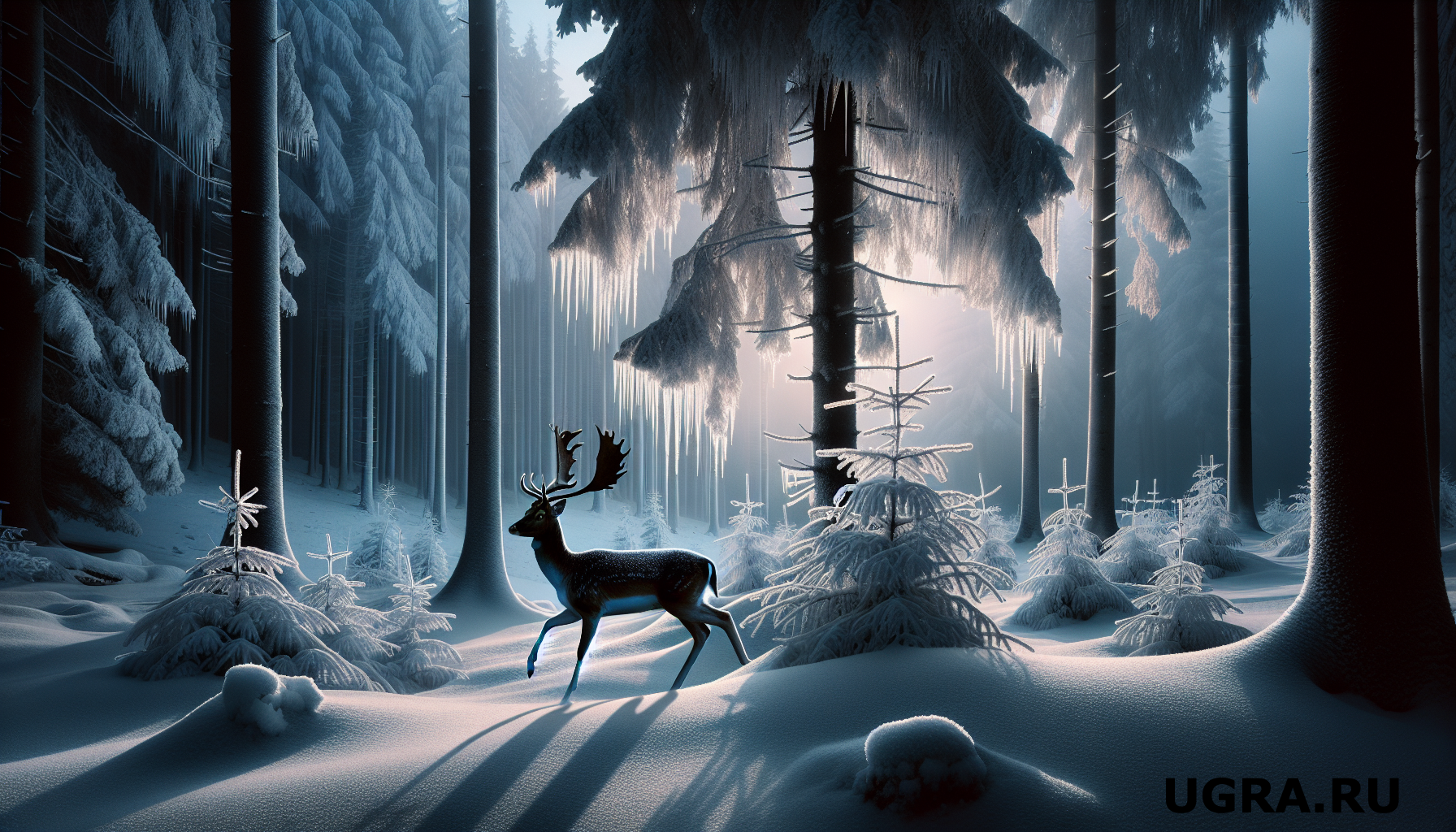 Электронные паспорта для оленей: дума ХМАО обновила законодательство