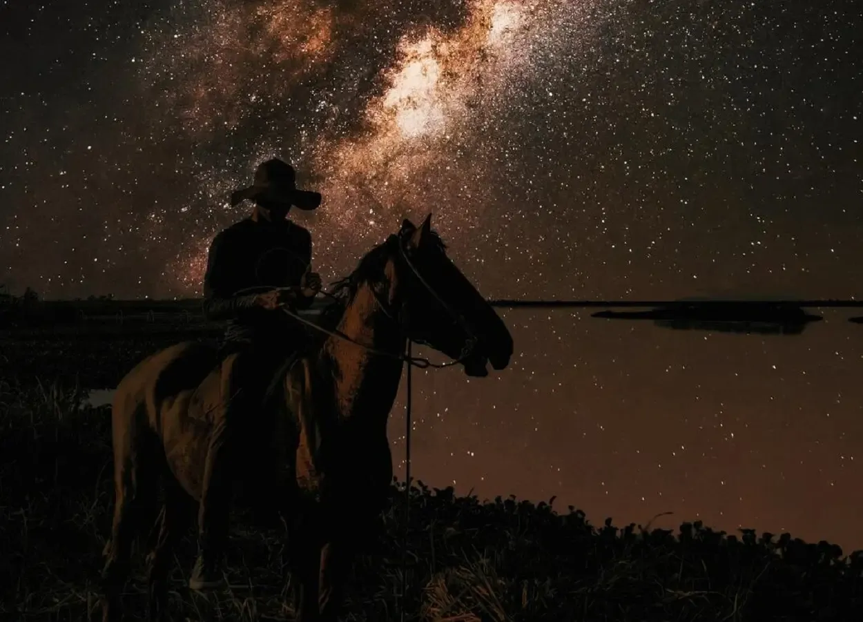 Фото: pxhere.com