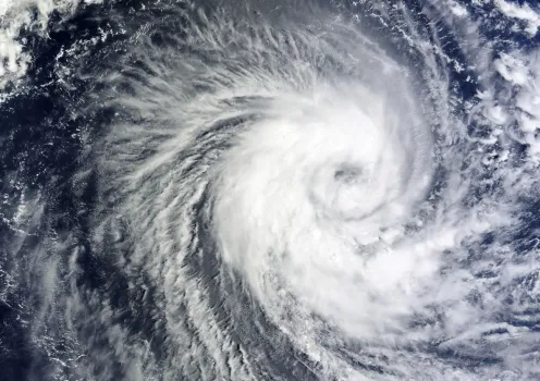 Зима уйдет в нокдаун: синоптики объявили, к чему готовиться &mdash; поступили новые данные