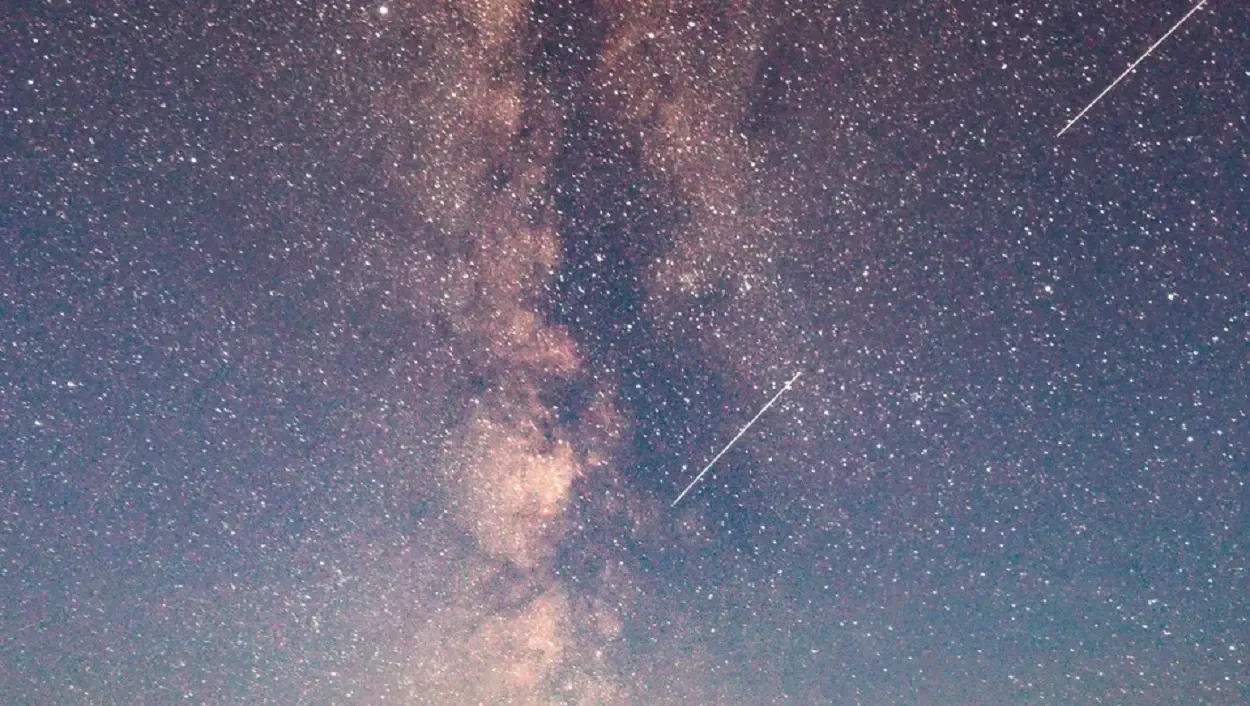 Фото: pxhere.com