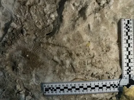 В Югре полиция раскрыла кражу из гаража по отпечатку госномера на сугробе