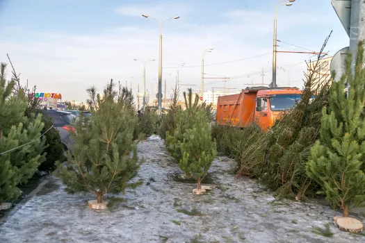 Талоны на новогодние ели, бюджет на год и открытие катков: главные новости ХМАО на утро 21 декабря
