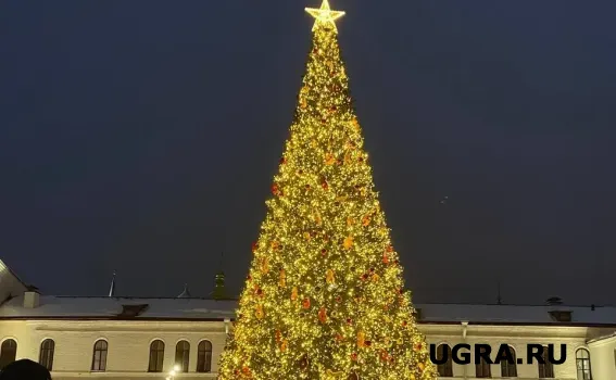 В Сургуте в рамках акции &laquo;Ёлка желаний&raquo; мэр исполнил мечту подростка