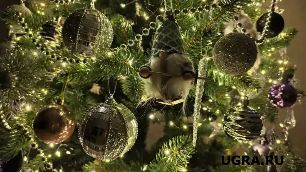 В Нижневартовске жители превратили «пирамиду позора» в новогоднюю елку