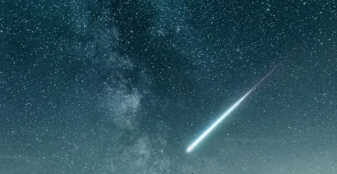 Птица Счастья сама бросится в руки: названы знаки Зодиака, которые дождались своего часа &mdash; перемены ворвутся в их жизнь с 24 декабря