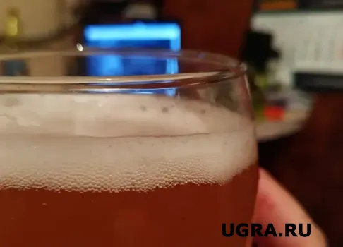 В России растут поставки импортного пива: плюсы и минусы завоза пенного из Европы и Америки