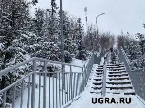 Россию накроют 55-градусные морозы: ждать ли аномальный холод в ХМАО