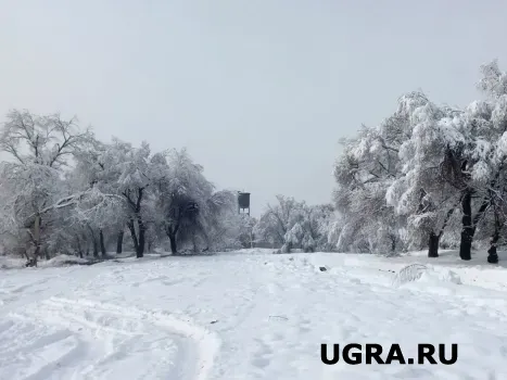 Зимние дороги Югры полностью готовы к эксплуатации