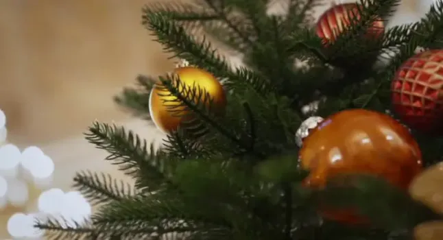 Губернатор Югры исполнит детские мечты в рамках акции &laquo;Елка желаний&raquo; в Москве