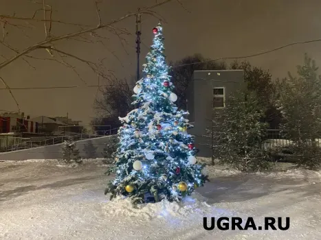 Резиденция Елки, чумовая улица и чемпионат по парению: куда сходить в Ханты-Мансийске на новогодних праздниках