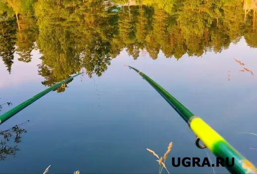 Рыбак из ХМАО предстанет перед судом за незаконный вылов нельмы