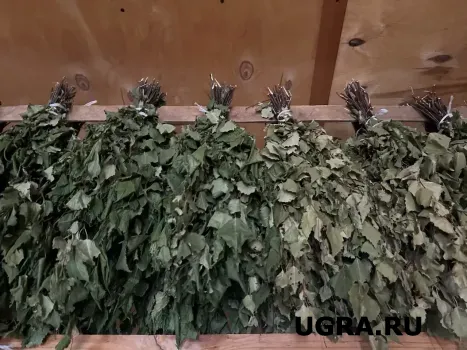 В ХМАО начали предлагать доставку бань за город: сколько стоит аренда «выездной» парилки