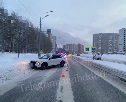 Фото: Госавтоинспекция Югры